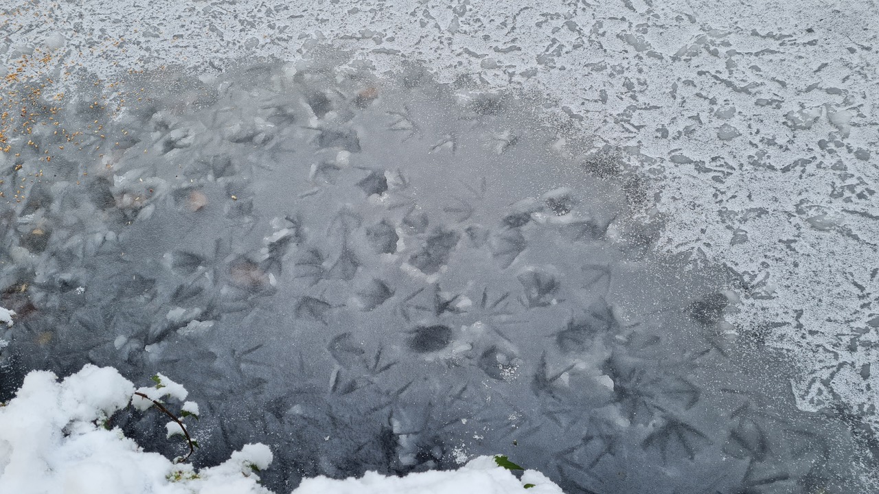 Fwd: Greg Howarth Graves Park footprints			
					</div><!-- .entry-content -->
		
		<footer>
		
		
		
					
					</footer><!-- .entry-meta -->
	</article><!-- #post -->
				
											
				
		
<hr class=