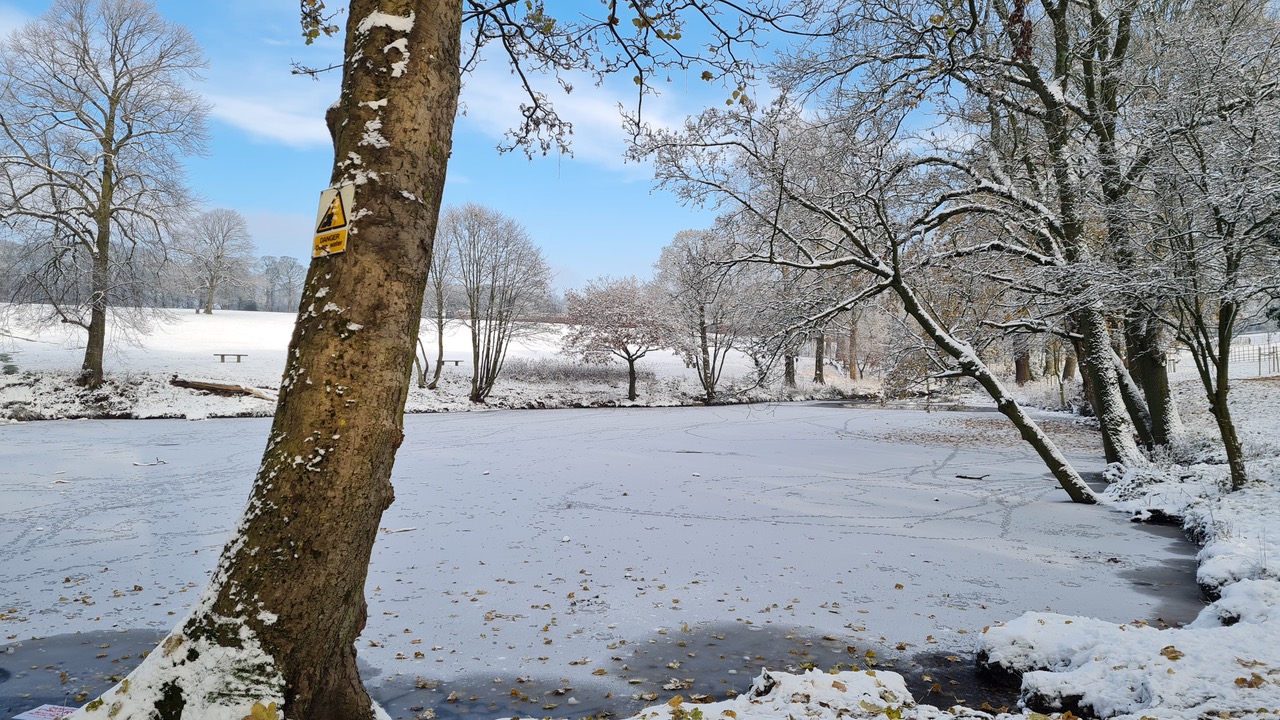 Fwd: Greg Howarth Graves Park			
					</div><!-- .entry-content -->
		
		<footer>
		
		
		
					
					</footer><!-- .entry-meta -->
	</article><!-- #post -->
				
											
				
		
<hr class=