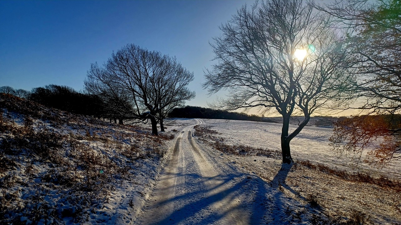 Fwd: By Mark Winter- Warncliffe Chase			
					</div><!-- .entry-content -->
		
		<footer>
		
		
		
					
					</footer><!-- .entry-meta -->
	</article><!-- #post -->
				
											
				
		
<hr class=