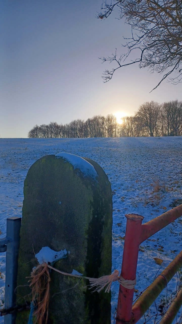 Fwd: By Mark Winter- Warncliffe Chase			
					</div><!-- .entry-content -->
		
		<footer>
		
		
		
					
					</footer><!-- .entry-meta -->
	</article><!-- #post -->
				
											
				
		
<hr class=