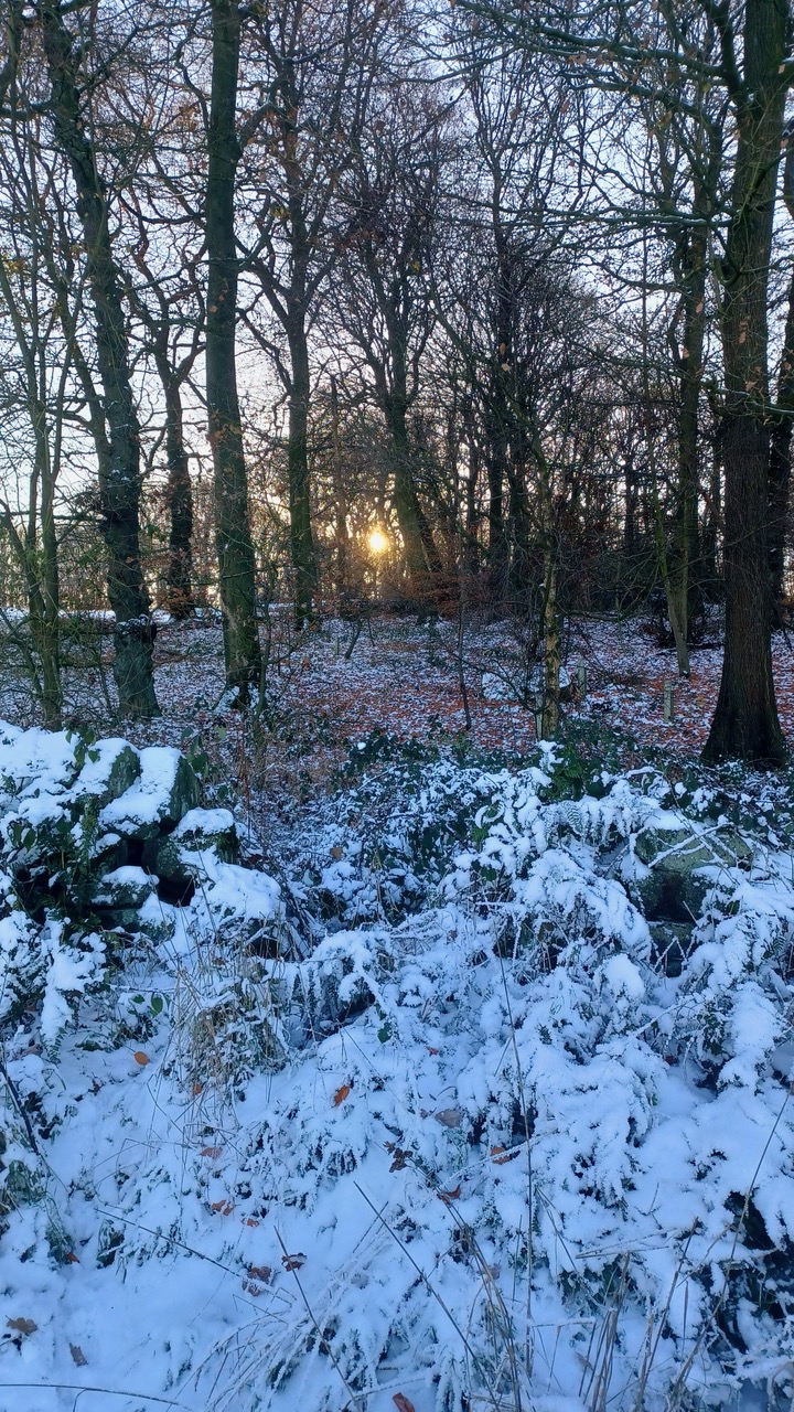 Fwd: By Mark Winter- Warncliffe Chase			
					</div><!-- .entry-content -->
		
		<footer>
		
		
		
					
					</footer><!-- .entry-meta -->
	</article><!-- #post -->
				
											
				
		
<hr class=