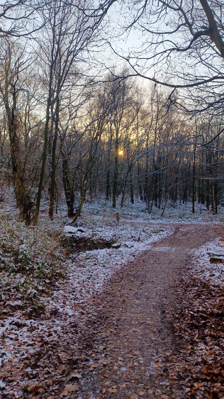 Fwd: By Mark Winter- Warncliffe Woods			
					</div><!-- .entry-content -->
		
		<footer>
		
		
		
					
					</footer><!-- .entry-meta -->
	</article><!-- #post -->
				
											
				
		
<hr class=