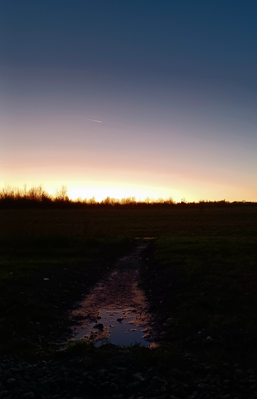 Fwd: By M.Winter- Sunset on shortest day 21/12/22 from Waverley.			
					</div><!-- .entry-content -->
		
		<footer>
		
		
		
					
					</footer><!-- .entry-meta -->
	</article><!-- #post -->
				
											
				
		
<hr class=