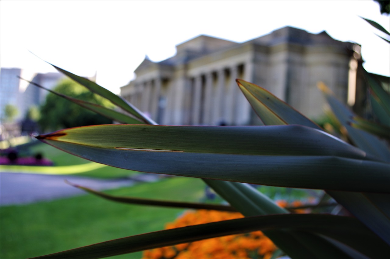 Fwd: Isaac Walker, Weston Park			
					</div><!-- .entry-content -->
		
		<footer>
		
		
		
					
					</footer><!-- .entry-meta -->
	</article><!-- #post -->
				
											
				
		
<hr class=