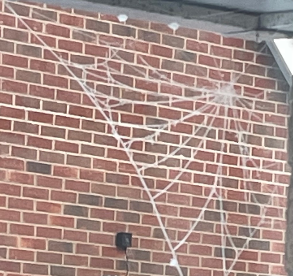Fwd: Winter cobweb			
					</div><!-- .entry-content -->
		
		<footer>
		
		
		
					
					</footer><!-- .entry-meta -->
	</article><!-- #post -->
				
											
				
		
<hr class=