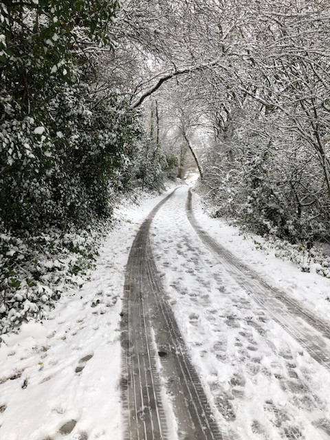 Fwd:			
					</div><!-- .entry-content -->
		
		<footer>
		
		
		
					
					</footer><!-- .entry-meta -->
	</article><!-- #post -->
				
											
				
		
<hr class=