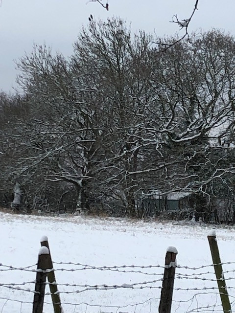 Fwd:			
					</div><!-- .entry-content -->
		
		<footer>
		
		
		
					
					</footer><!-- .entry-meta -->
	</article><!-- #post -->
				
											
				
		
<hr class=