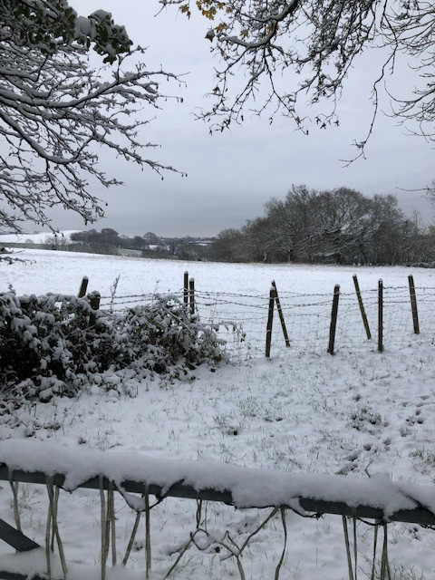 Fwd:			
					</div><!-- .entry-content -->
		
		<footer>
		
		
		
					
					</footer><!-- .entry-meta -->
	</article><!-- #post -->
				
											
				
		
<hr class=