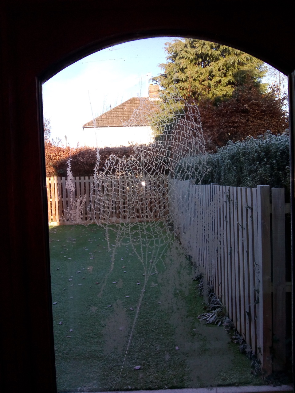 Fwd: Frozen cobweb			
					</div><!-- .entry-content -->
		
		<footer>
		
		
		
					
					</footer><!-- .entry-meta -->
	</article><!-- #post -->
				
											
				
		
<hr class=