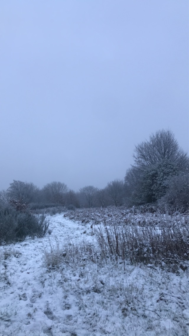 Fwd:			
					</div><!-- .entry-content -->
		
		<footer>
		
		
		
					
					</footer><!-- .entry-meta -->
	</article><!-- #post -->
				
											
				
		
<hr class=