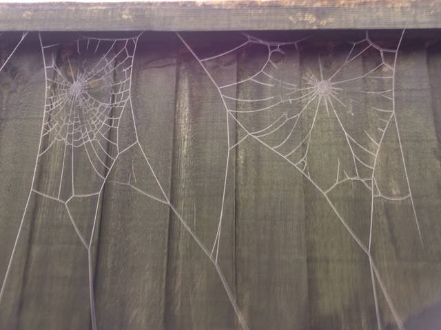 Fwd: Eckington			
					</div><!-- .entry-content -->
		
		<footer>
		
		
		
					
					</footer><!-- .entry-meta -->
	</article><!-- #post -->
				
											
				
		
<hr class=