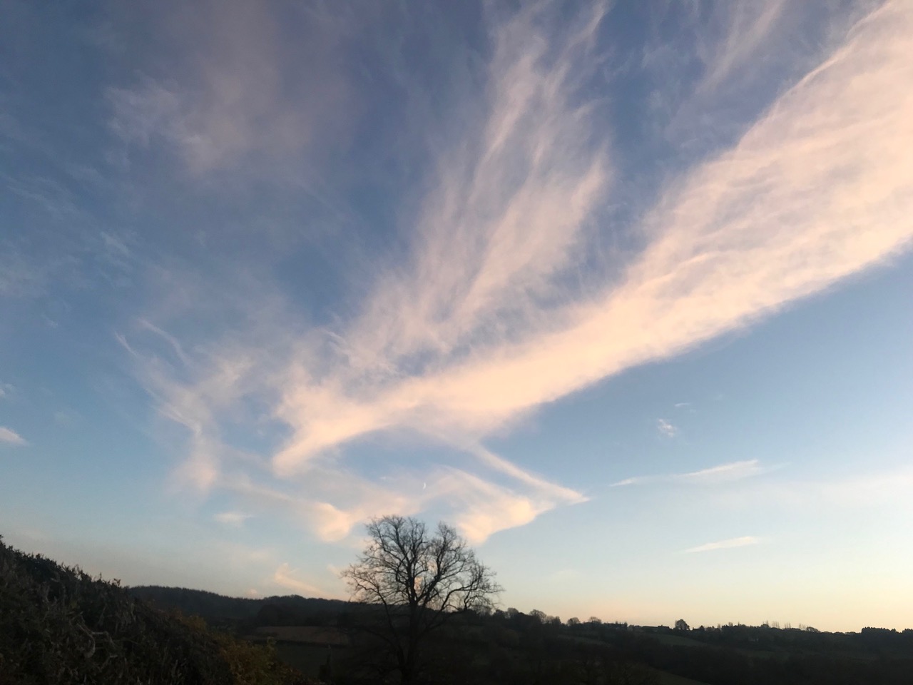 Fwd: Moss Valley			
					</div><!-- .entry-content -->
		
		<footer>
		
		
		
					
					</footer><!-- .entry-meta -->
	</article><!-- #post -->
				
											
				
		
<hr class=