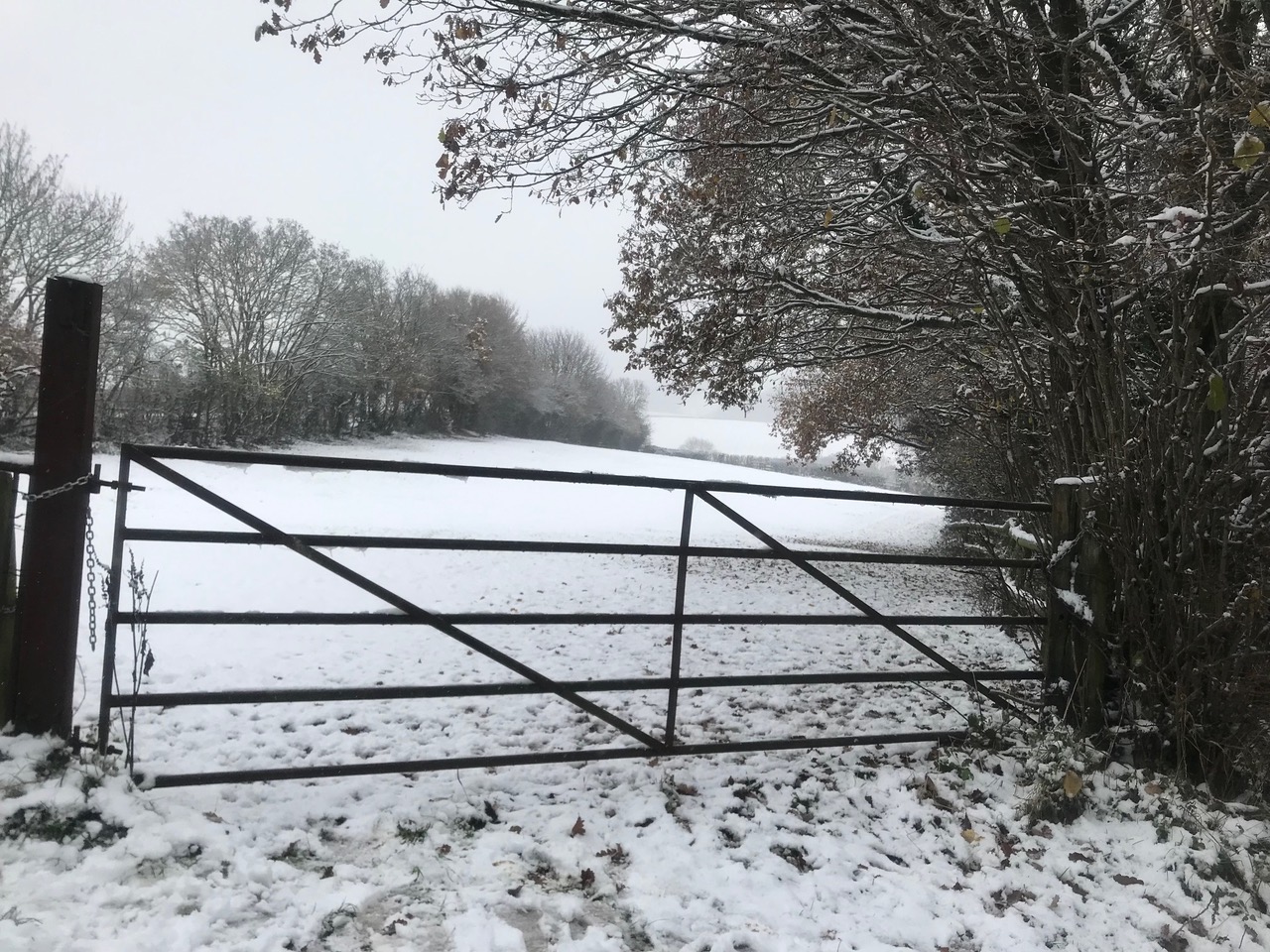 Fwd: Troway			
					</div><!-- .entry-content -->
		
		<footer>
		
		
		
					
					</footer><!-- .entry-meta -->
	</article><!-- #post -->
				
											
				
		
<hr class=