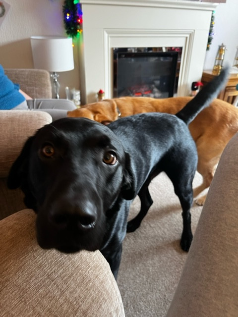 Fwd:			
					</div><!-- .entry-content -->
		
		<footer>
		
		
		
					
					</footer><!-- .entry-meta -->
	</article><!-- #post -->
				
											
				
		
<hr class=