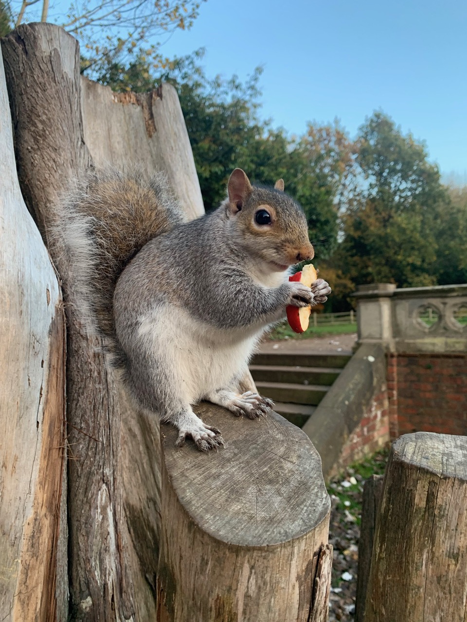 Fwd: Photo			
					</div><!-- .entry-content -->
		
		<footer>
		
		
		
					
					</footer><!-- .entry-meta -->
	</article><!-- #post -->
				
											
				
		
<hr class=