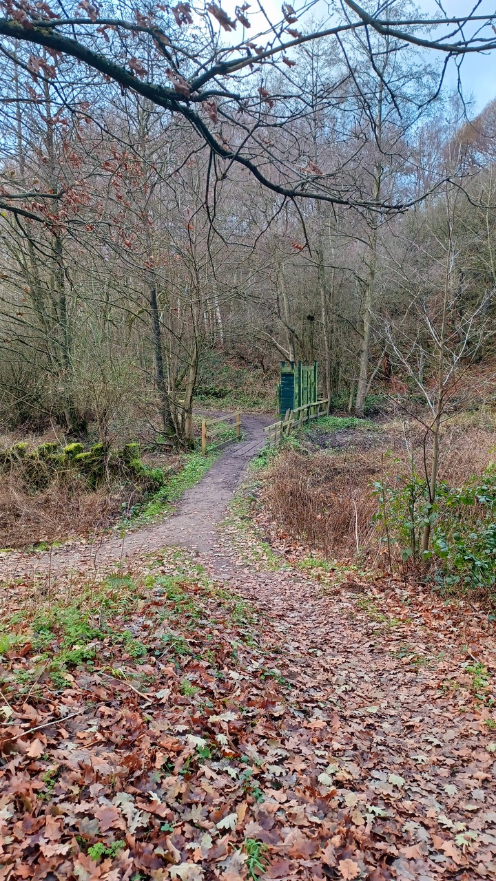Fwd: By M Winter- Ulley reservoir bird hide screen			
					</div><!-- .entry-content -->
		
		<footer>
		
		
		
					
					</footer><!-- .entry-meta -->
	</article><!-- #post -->
				
											
				
		
<hr class=