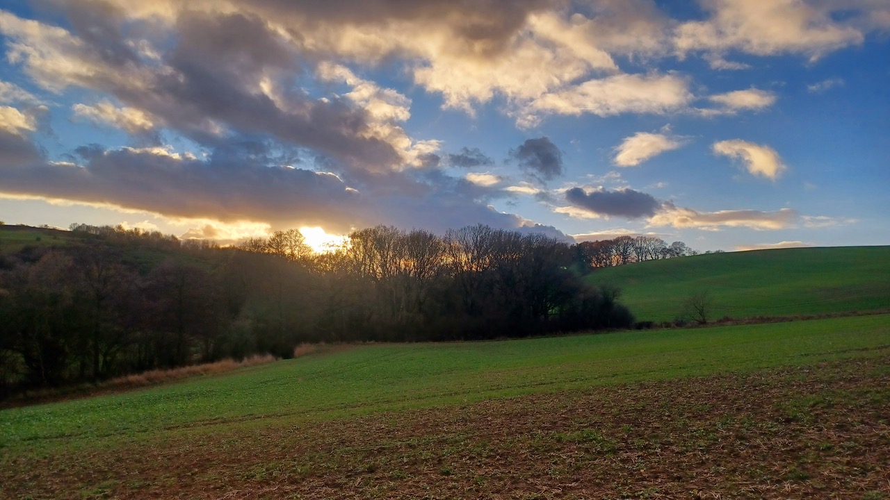 Fwd: By M Winter- Ulley Brook			
					</div><!-- .entry-content -->
		
		<footer>
		
		
		
					
					</footer><!-- .entry-meta -->
	</article><!-- #post -->
				
											
				
		
<hr class=