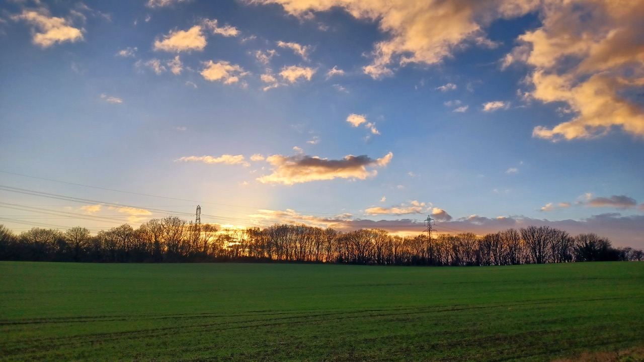 Fwd: By M Winter- Upper Whiston			
					</div><!-- .entry-content -->
		
		<footer>
		
		
		
					
					</footer><!-- .entry-meta -->
	</article><!-- #post -->
				
											
				
		
<hr class=