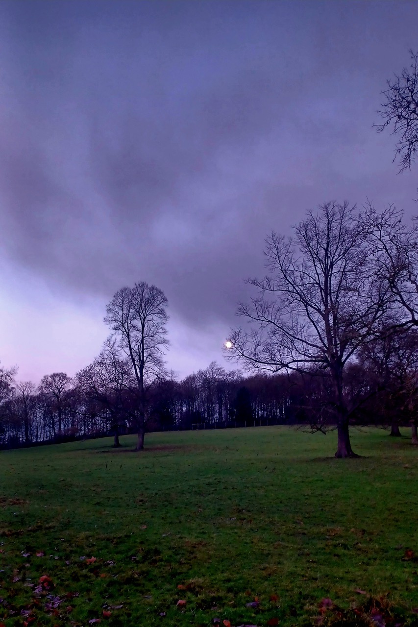 Fwd: By M Winter- Wentworth Park with Moon			
					</div><!-- .entry-content -->
		
		<footer>
		
		
		
					
					</footer><!-- .entry-meta -->
	</article><!-- #post -->
				
											
				
		
<hr class=