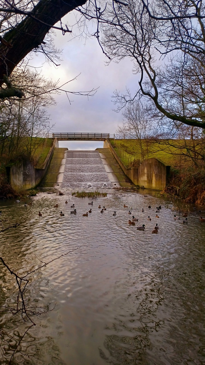 Fwd: By M Winter- Wier at Elsecar reservoir			
					</div><!-- .entry-content -->
		
		<footer>
		
		
		
					
					</footer><!-- .entry-meta -->
	</article><!-- #post -->
				
											
				
		
<hr class=