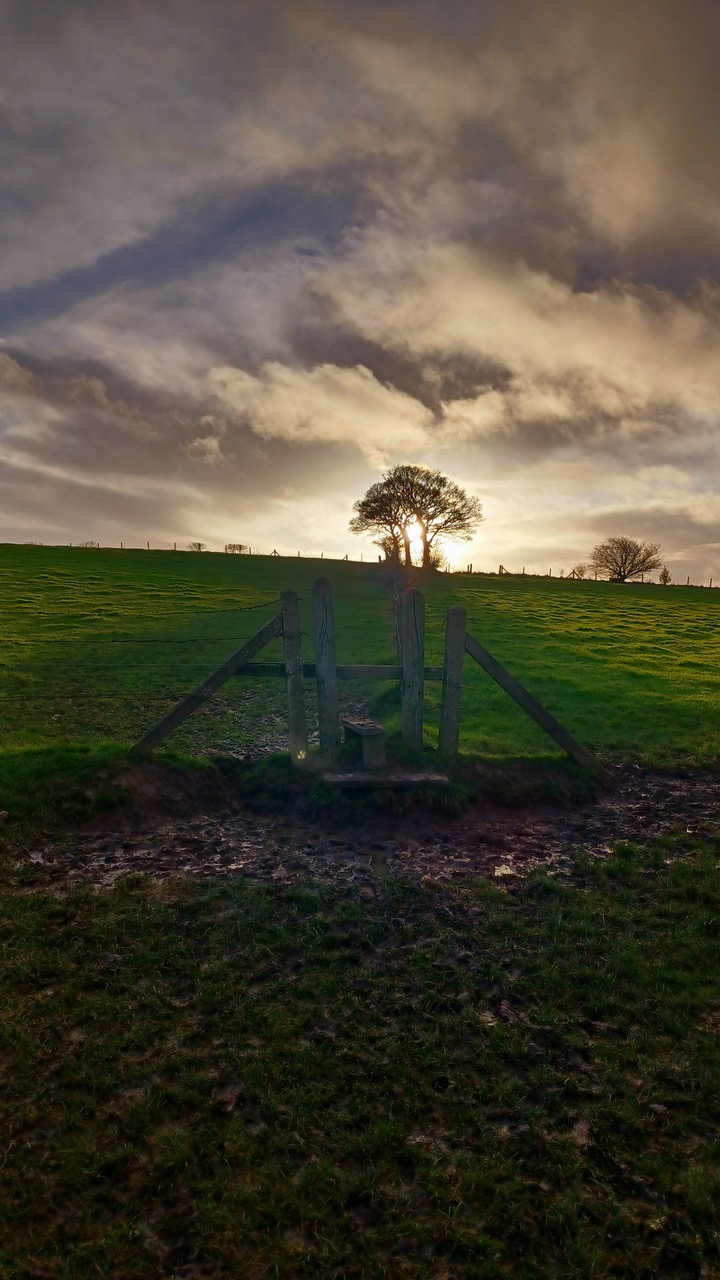 Fwd: By M Winter- Stile top of Elsecar.			
					</div><!-- .entry-content -->
		
		<footer>
		
		
		
					
					</footer><!-- .entry-meta -->
	</article><!-- #post -->
				
											
				
		
<hr class=