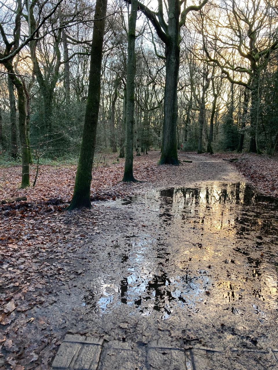 Fwd: Angela Hill, Ecclesall Woods			
					</div><!-- .entry-content -->
		
		<footer>
		
		
		
					
					</footer><!-- .entry-meta -->
	</article><!-- #post -->
				
											
				
		
<hr class=