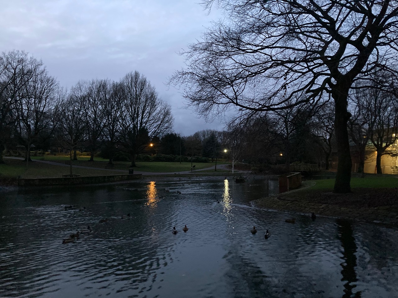 Fwd: Weston Park at sunset, Angela Hill			
					</div><!-- .entry-content -->
		
		<footer>
		
		
		
					
					</footer><!-- .entry-meta -->
	</article><!-- #post -->
				
											
				
		
<hr class=