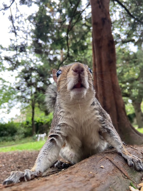 Fwd: Sheffield pics			
					</div><!-- .entry-content -->
		
		<footer>
		
		
		
					
					</footer><!-- .entry-meta -->
	</article><!-- #post -->
				
											
				
		
<hr class=