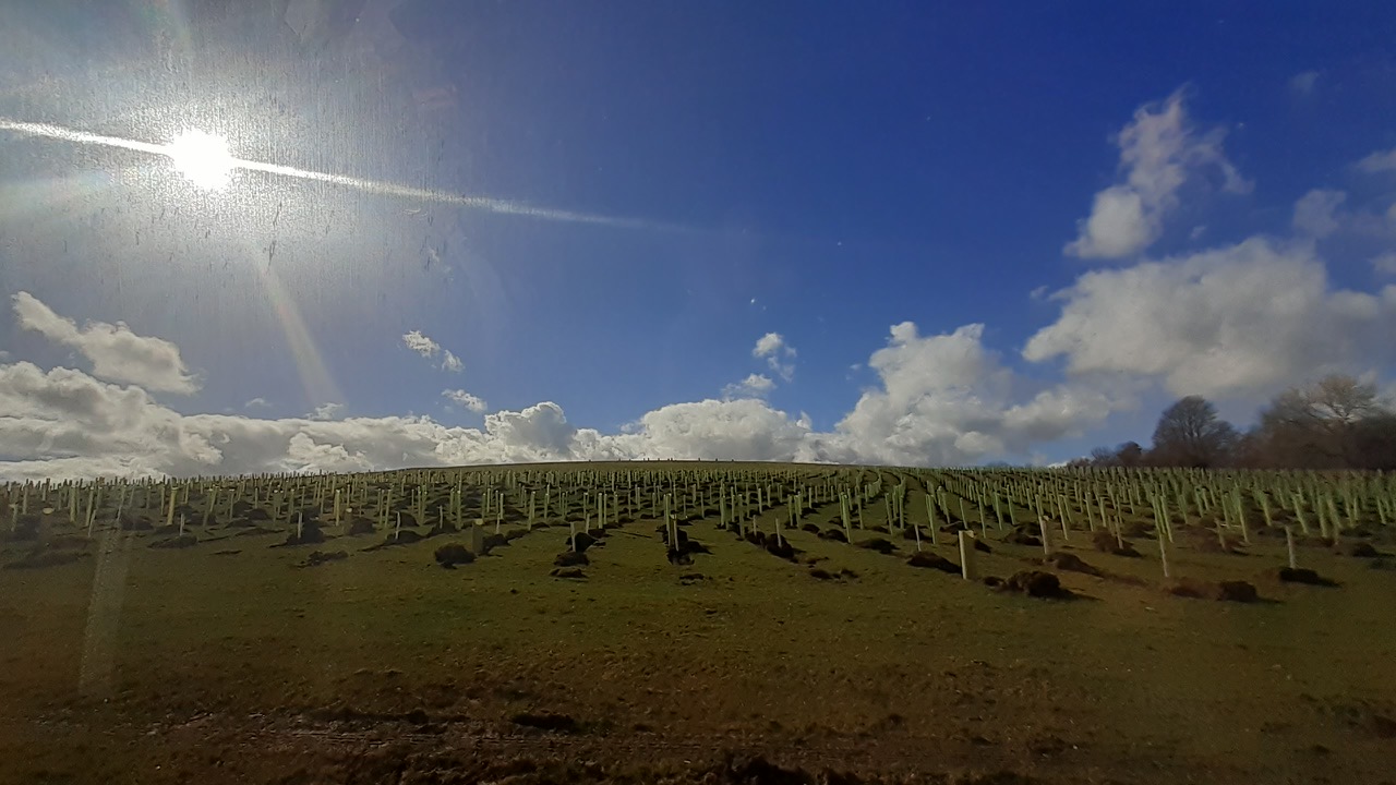 Fwd: Gullface London			
					</div><!-- .entry-content -->
		
		<footer>
		
		
		
					
					</footer><!-- .entry-meta -->
	</article><!-- #post -->
				
											
				
		
<hr class=