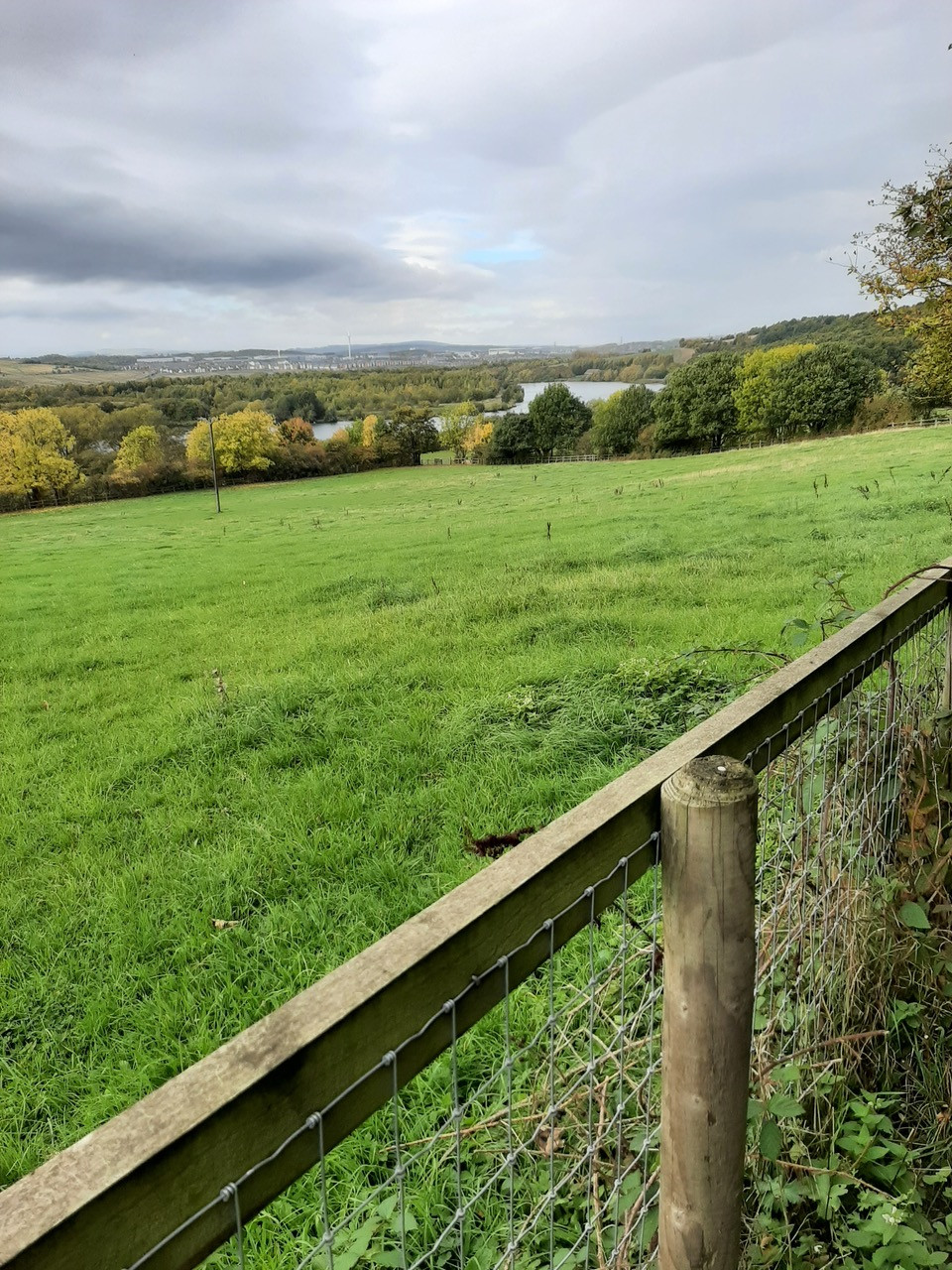 Fwd: Treeton dyke			
					</div><!-- .entry-content -->
		
		<footer>
		
		
		
					
					</footer><!-- .entry-meta -->
	</article><!-- #post -->
				
											
				
		
<hr class=