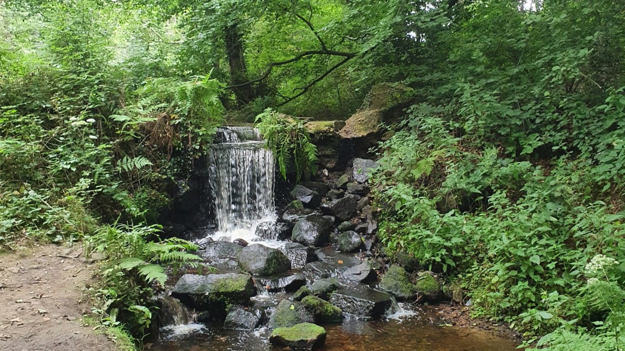 Fwd: Livvie H, Rivelin			
					</div><!-- .entry-content -->
		
		<footer>
		
		
		
					
					</footer><!-- .entry-meta -->
	</article><!-- #post -->
				
											
				
		
<hr class=