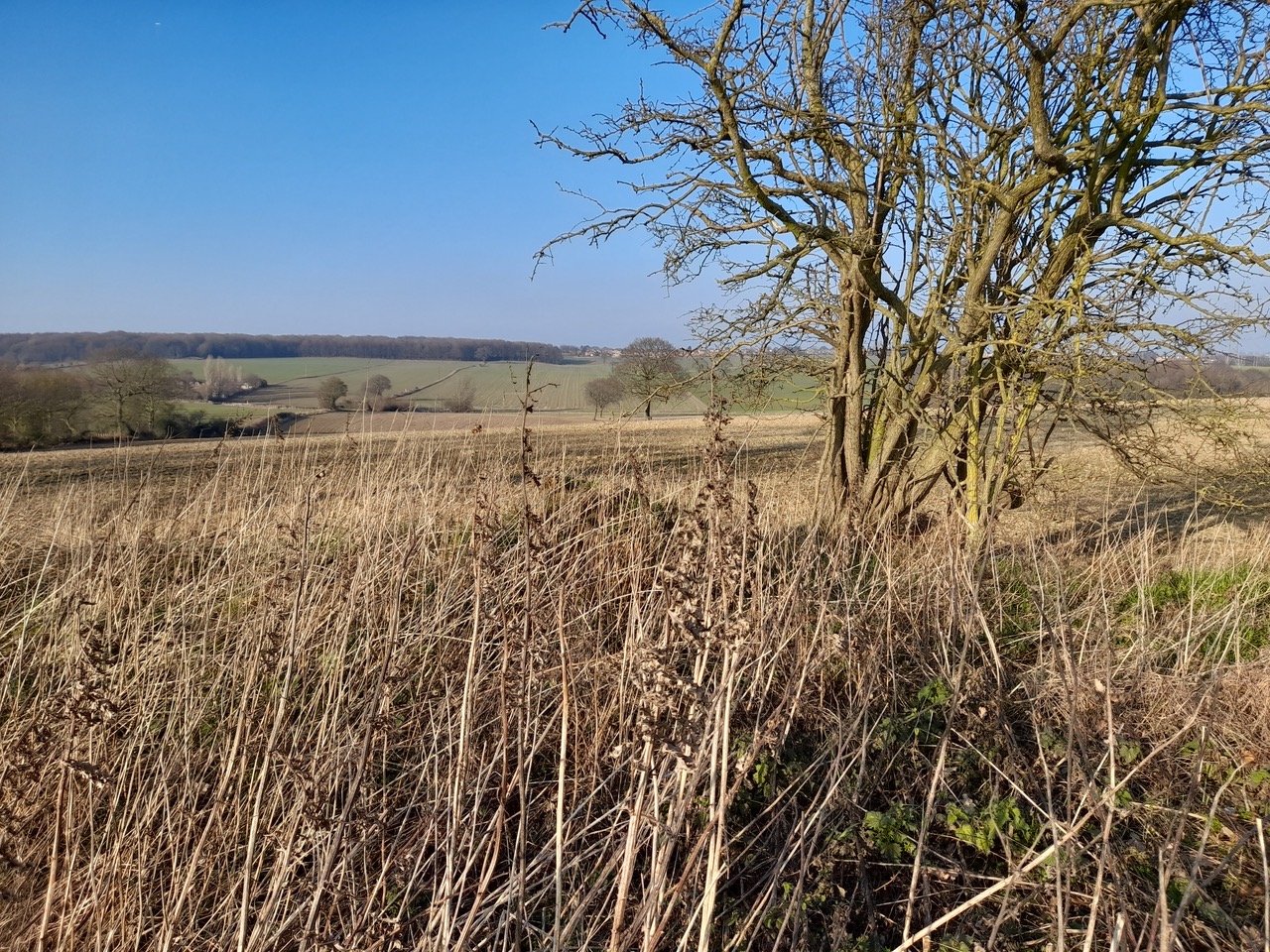 Fwd: vincent. wickersley. Top Wood			
					</div><!-- .entry-content -->
		
		<footer>
		
		
		
					
					</footer><!-- .entry-meta -->
	</article><!-- #post -->
				
											
				
		
<hr class=