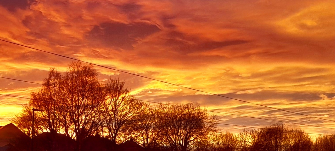 Fwd: Gail Ellis, Frecheville sunset			
					</div><!-- .entry-content -->
		
		<footer>
		
		
		
					
					</footer><!-- .entry-meta -->
	</article><!-- #post -->
				
											
				
		
<hr class=