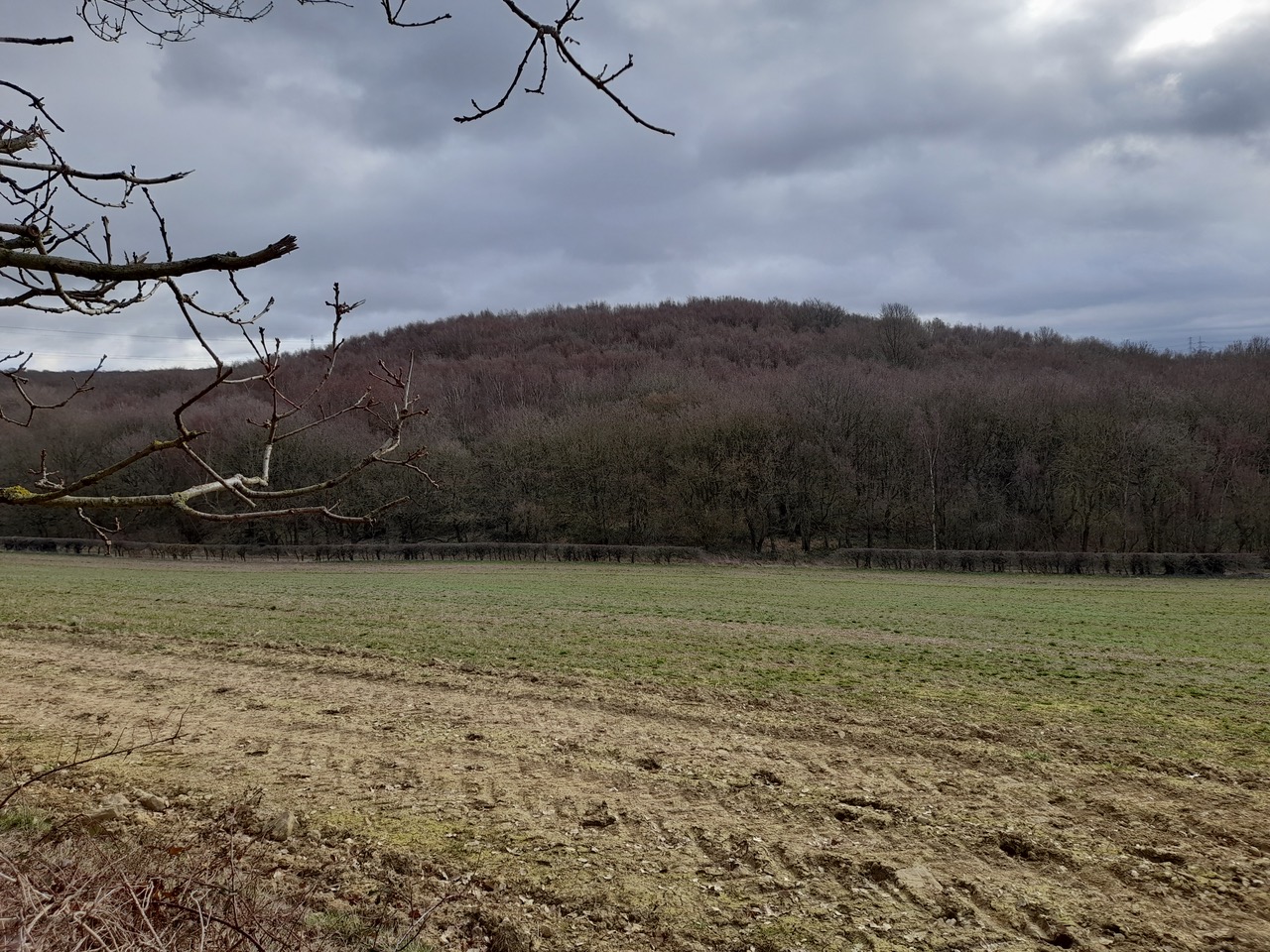 Fwd: Vincent. hail Mary Wood. Treeton			
					</div><!-- .entry-content -->
		
		<footer>
		
		
		
					
					</footer><!-- .entry-meta -->
	</article><!-- #post -->
				
											
				
		
<hr class=