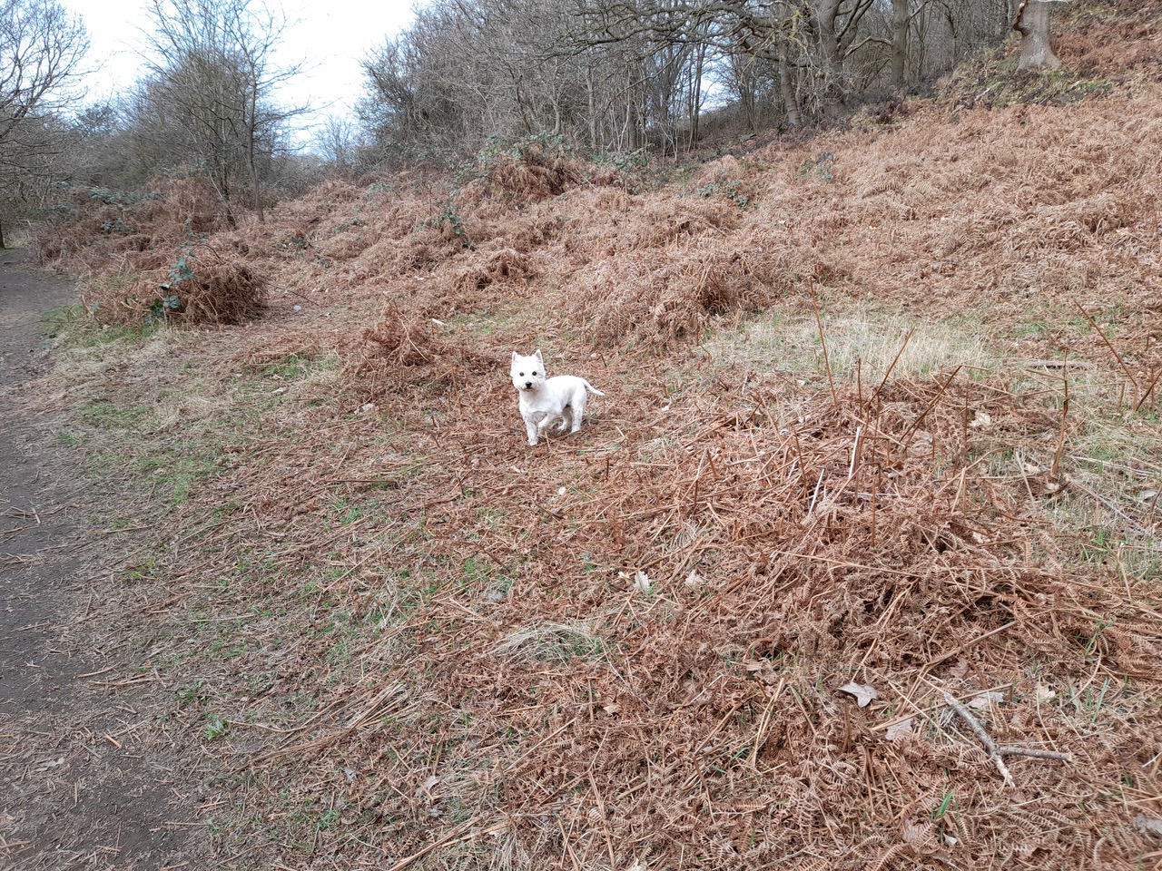 Fwd: Vincent. Treeton			
					</div><!-- .entry-content -->
		
		<footer>
		
		
		
					
					</footer><!-- .entry-meta -->
	</article><!-- #post -->
				
											
				
		
<hr class=