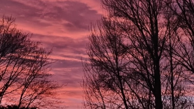 Fwd: Livvie H, Sunset in Heeley			
					</div><!-- .entry-content -->
		
		<footer>
		
		
		
					
					</footer><!-- .entry-meta -->
	</article><!-- #post -->
				
											
				
		
<hr class=