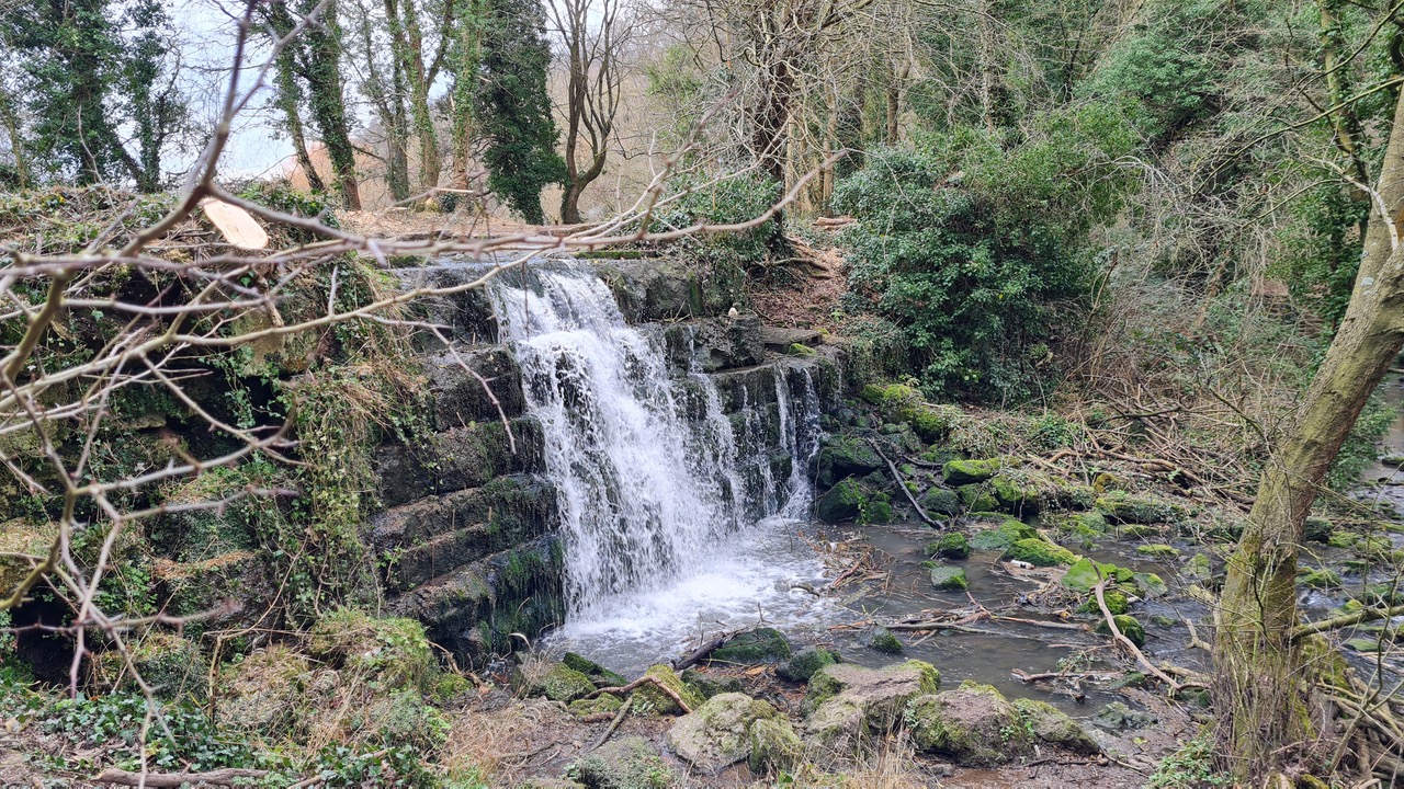 Fwd: Greg Howarth Waterfall Roche Abbey			
					</div><!-- .entry-content -->
		
		<footer>
		
		
		
					
					</footer><!-- .entry-meta -->
	</article><!-- #post -->
				
											
				
		
<hr class=