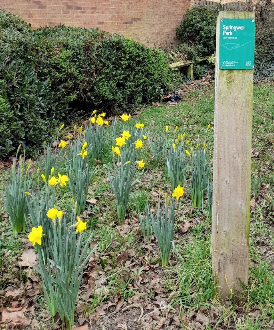 Fwd: Beighton			
					</div><!-- .entry-content -->
		
		<footer>
		
		
		
					
					</footer><!-- .entry-meta -->
	</article><!-- #post -->
				
											
				
		
<hr class=