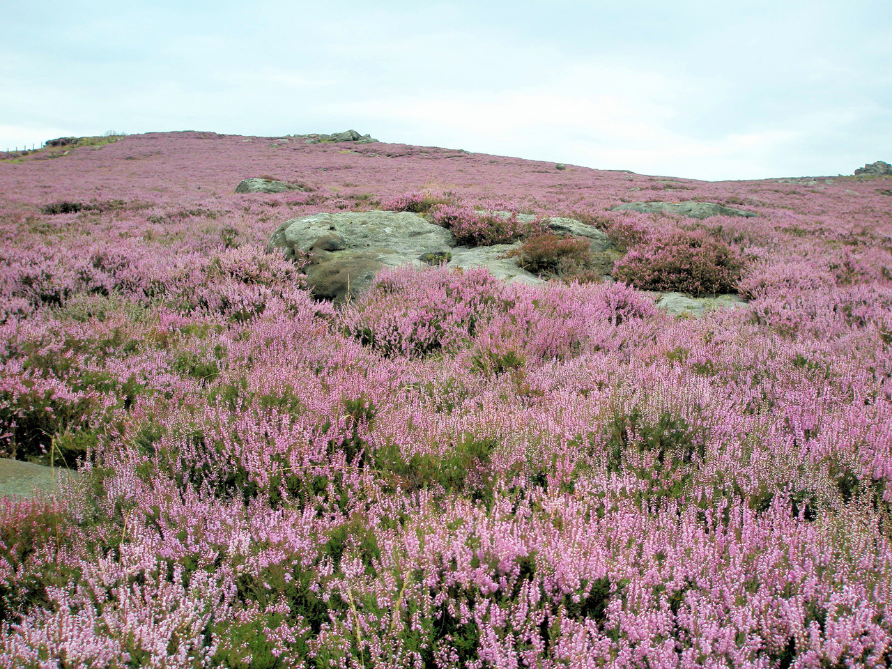 Fwd: Photo			
					</div><!-- .entry-content -->
		
		<footer>
		
		
		
					
					</footer><!-- .entry-meta -->
	</article><!-- #post -->
				
											
				
		
<hr class=