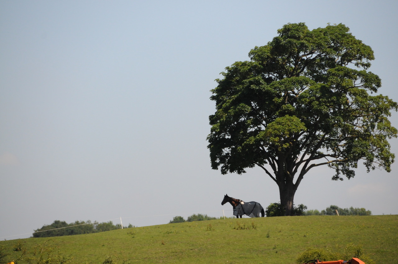 Fwd: Local photographs for you			
					</div><!-- .entry-content -->
		
		<footer>
		
		
		
					
					</footer><!-- .entry-meta -->
	</article><!-- #post -->
				
											
				
		
<hr class=