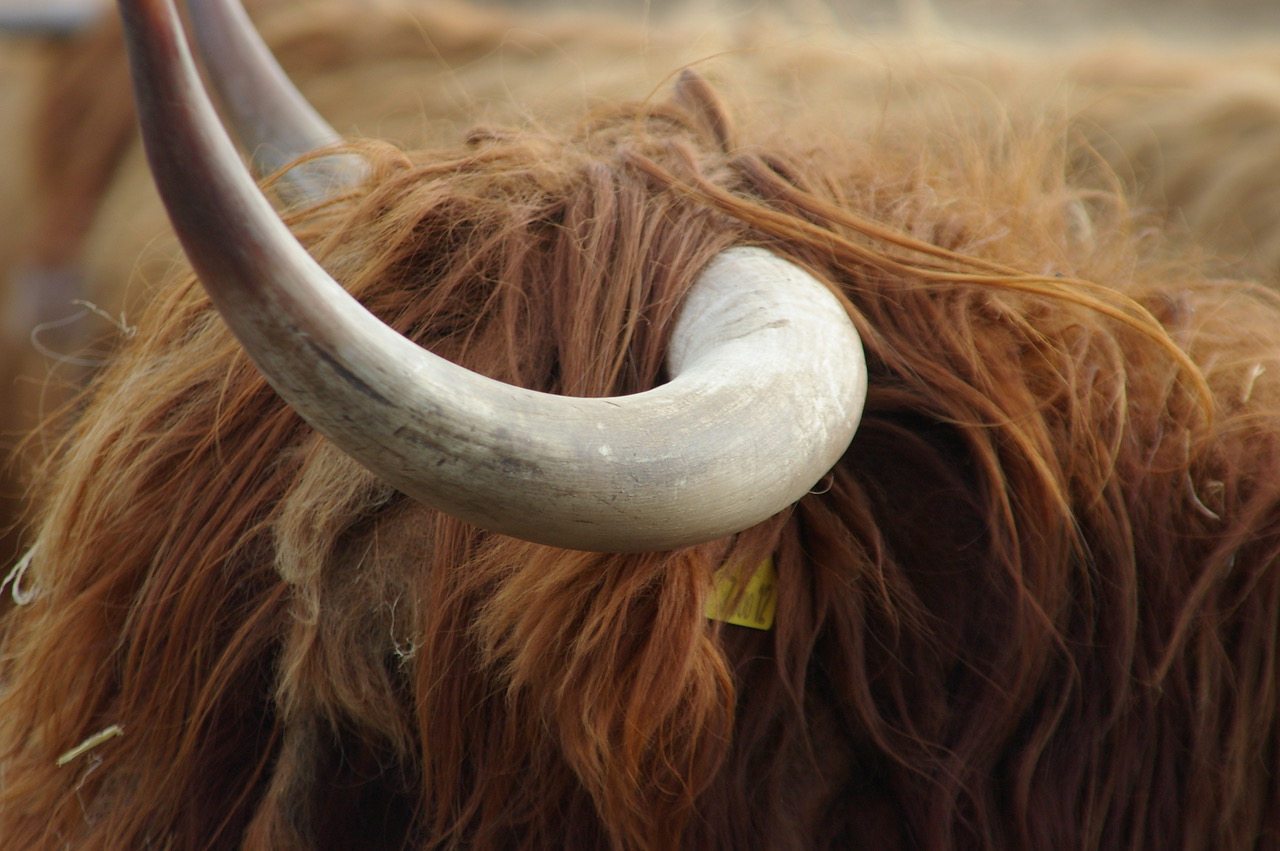 Fwd: Graves Park, Isaac Walker			
					</div><!-- .entry-content -->
		
		<footer>
		
		
		
					
					</footer><!-- .entry-meta -->
	</article><!-- #post -->
				
											
				
		
<hr class=