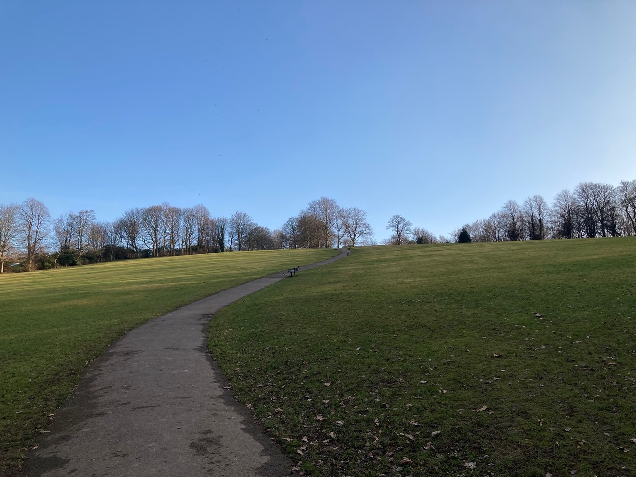 Fwd: Meetsbrook park			
					</div><!-- .entry-content -->
		
		<footer>
		
		
		
					
					</footer><!-- .entry-meta -->
	</article><!-- #post -->
				
											
				
		
<hr class=