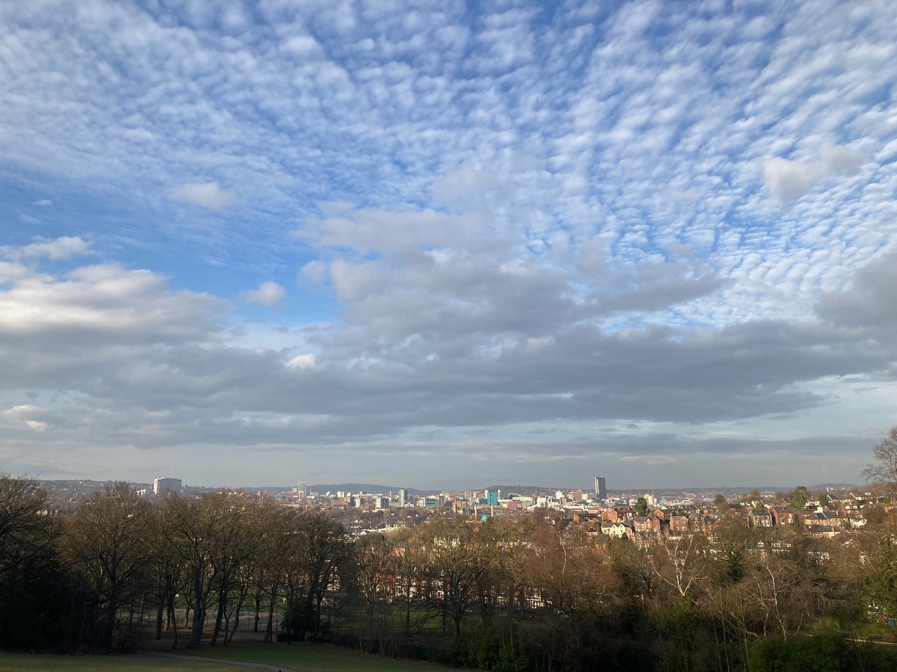 Fwd: Meersbrook park			
					</div><!-- .entry-content -->
		
		<footer>
		
		
		
					
					</footer><!-- .entry-meta -->
	</article><!-- #post -->
				
											
				
		
<hr class=