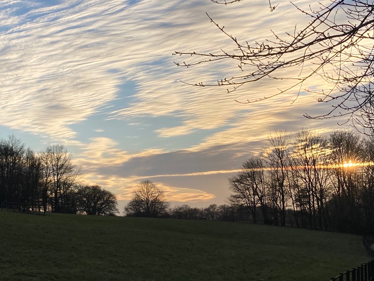 Fwd: Norfolk park			
					</div><!-- .entry-content -->
		
		<footer>
		
		
		
					
					</footer><!-- .entry-meta -->
	</article><!-- #post -->
				
											
				
		
<hr class=