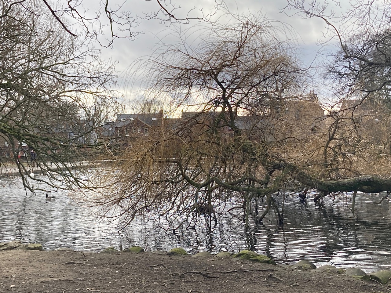 Fwd: Hillsborough park			
					</div><!-- .entry-content -->
		
		<footer>
		
		
		
					
					</footer><!-- .entry-meta -->
	</article><!-- #post -->
				
											
				
		
<hr class=