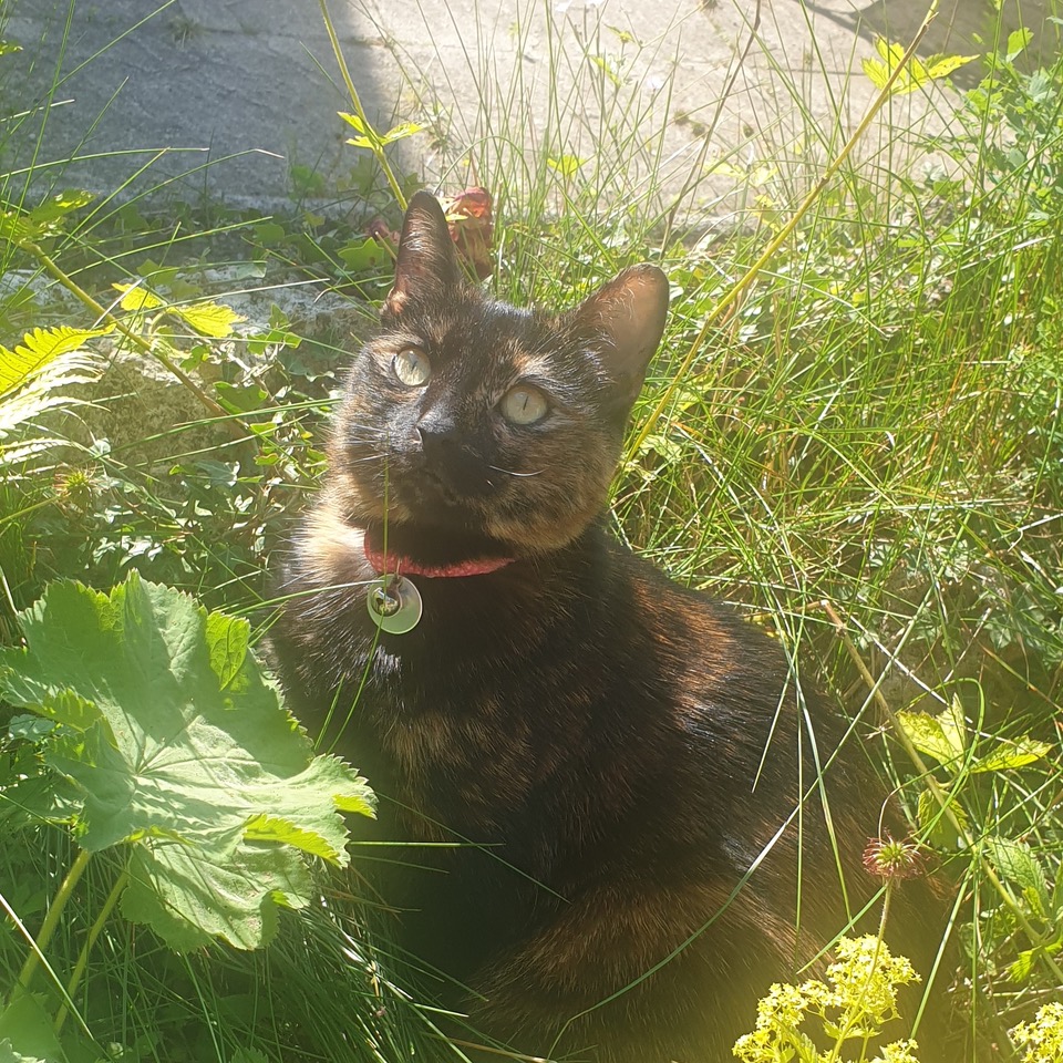 Fwd: Photos			
					</div><!-- .entry-content -->
		
		<footer>
		
		
		
					
					</footer><!-- .entry-meta -->
	</article><!-- #post -->
				
											
				
		
<hr class=