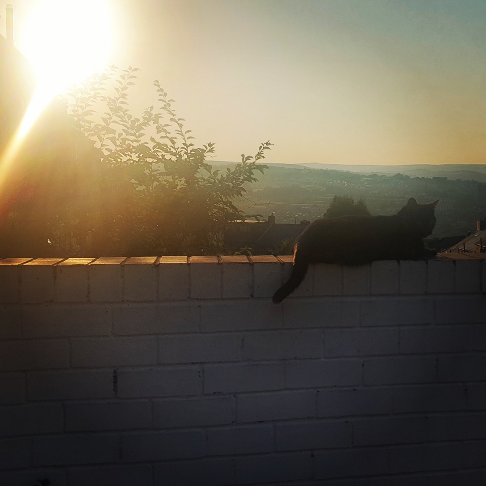 Fwd: Photos			
					</div><!-- .entry-content -->
		
		<footer>
		
		
		
					
					</footer><!-- .entry-meta -->
	</article><!-- #post -->
				
											
				
		
<hr class=