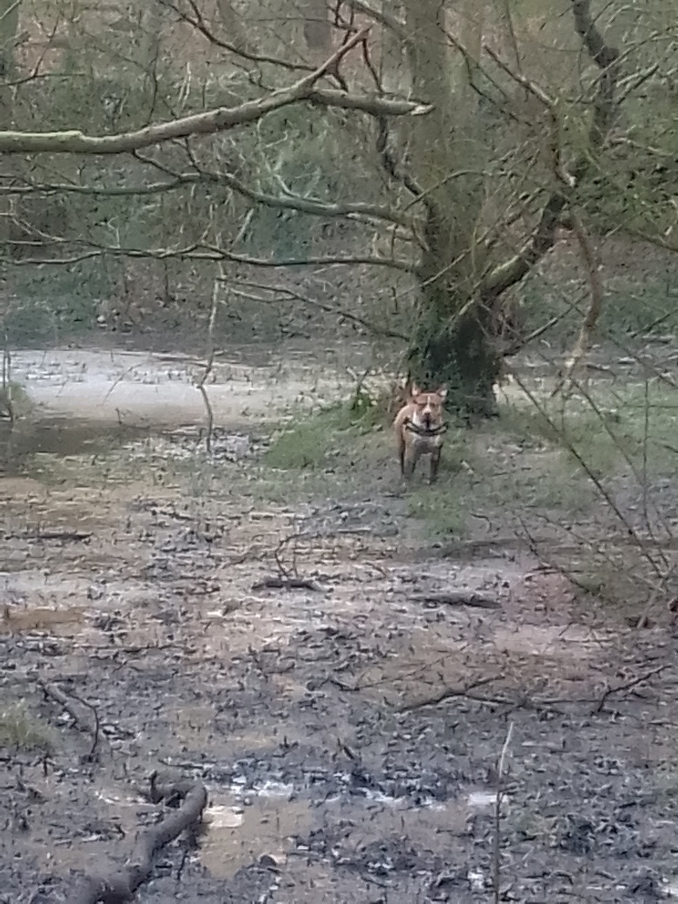 Fwd: Rivlin			
					</div><!-- .entry-content -->
		
		<footer>
		
		
		
					
					</footer><!-- .entry-meta -->
	</article><!-- #post -->
				
											
				
		
<hr class=