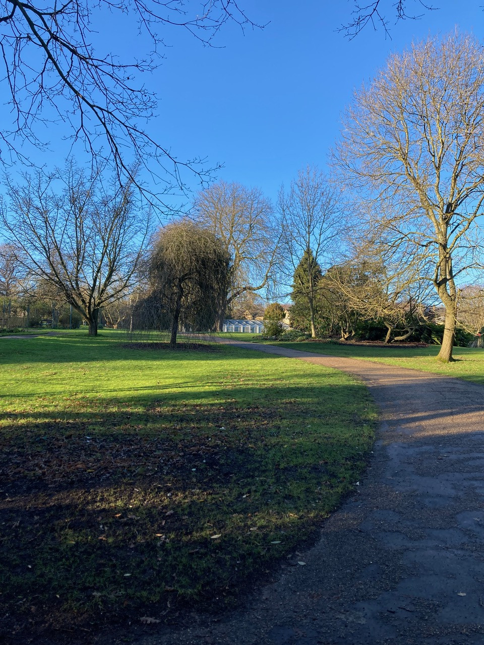 Fwd: Photograph by Angela Hill, Botanical Gardens			
					</div><!-- .entry-content -->
		
		<footer>
		
		
		
					
					</footer><!-- .entry-meta -->
	</article><!-- #post -->
				
											
				
		
<hr class=