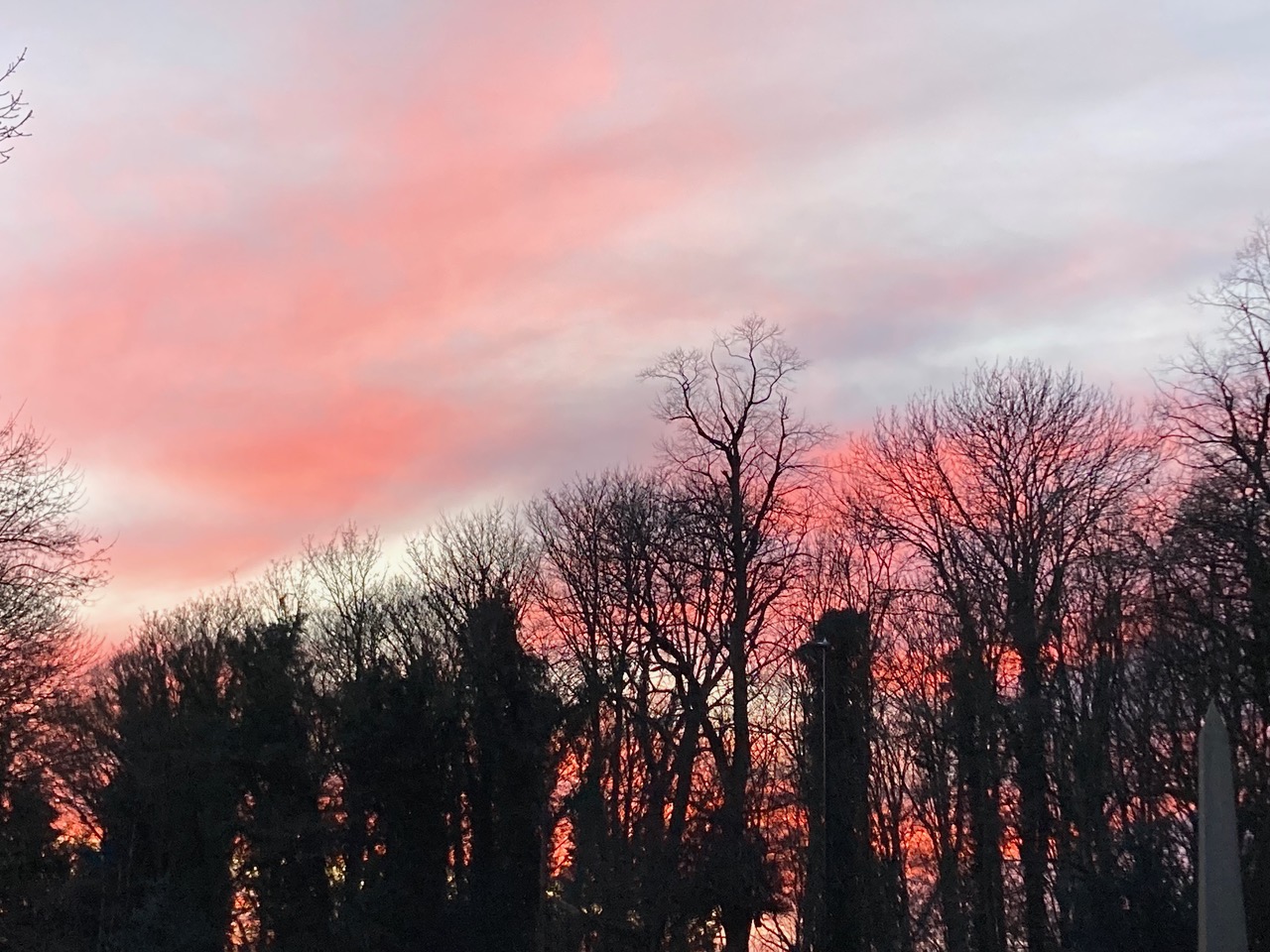 Fwd: Photograph by Angela Hill, Graves Park			
					</div><!-- .entry-content -->
		
		<footer>
		
		
		
					
					</footer><!-- .entry-meta -->
	</article><!-- #post -->
				
											
				
		
<hr class=